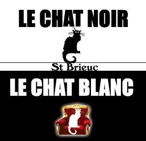 Chat Noir Et Blanc Evenement Ville